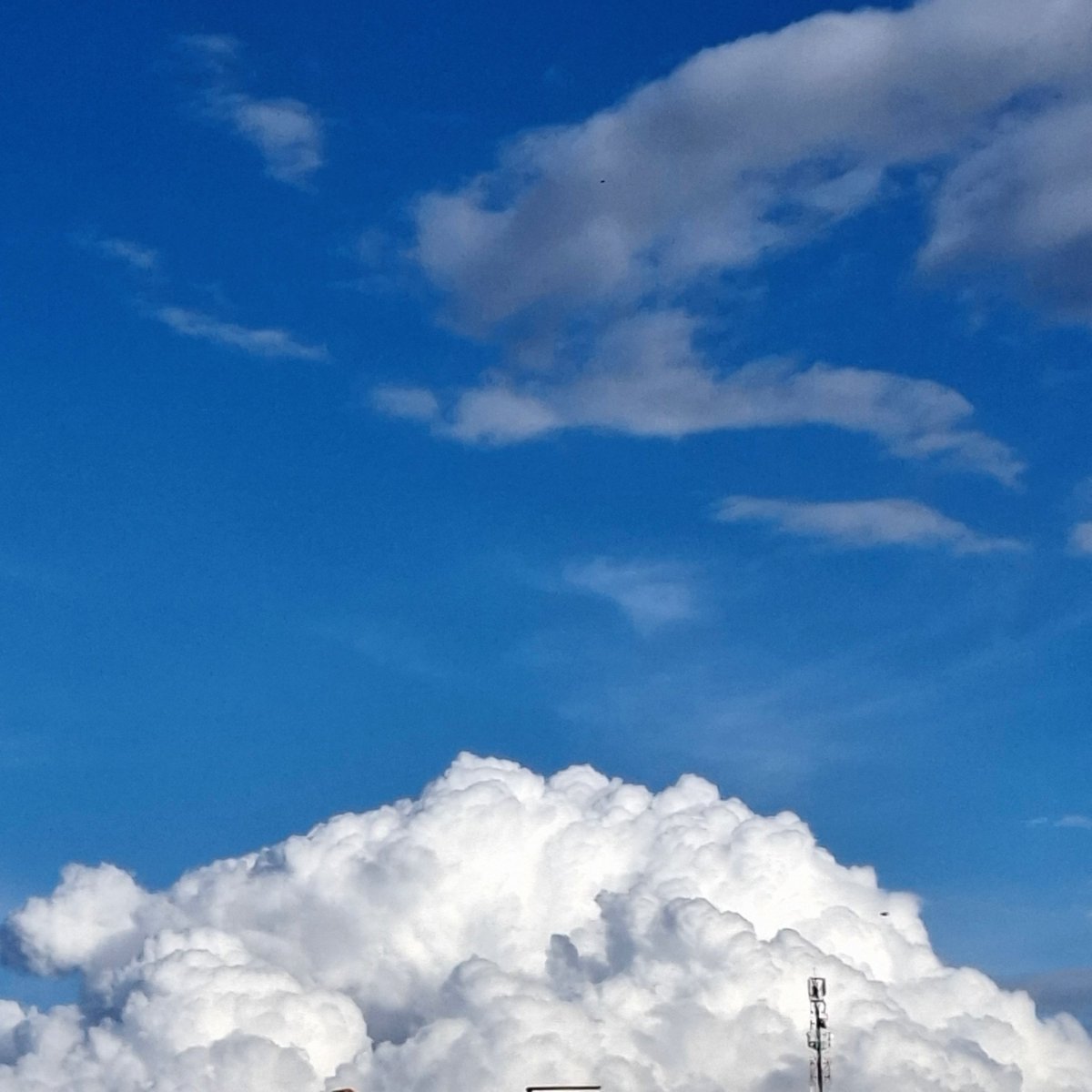 ursumru's tweet photo. ☁️☁️ https://t.co/gx94nWn4kR