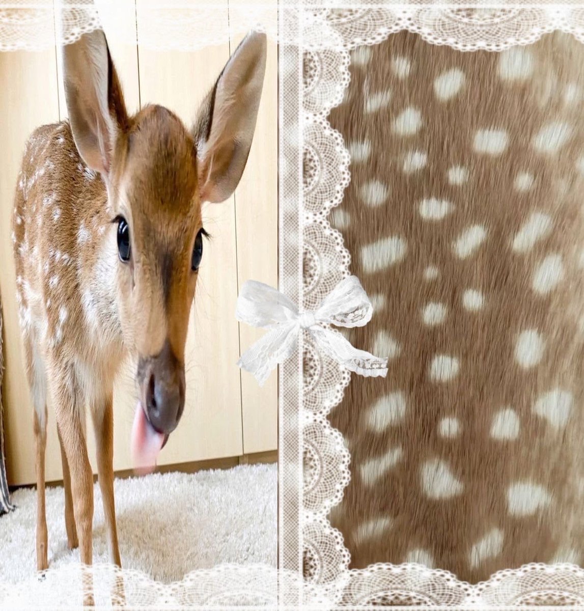 a_real_deer_'s tweet photo. what’s a weird behaviour ur ED made u start doing? 
mine is pacing the grocery store for an hour just to stare at the food and not buy it… https://t.co/6arDIHp438