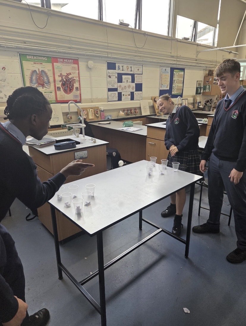 Pres_Carlow's tweet photo. Ping pong being used as a revision tool in Ms Bradley's @Pres_Carlow Fifth Year Biology class. @CeistTrust Be wise - revise! #teachingandlearning https://t.co/nEtcYs2UQC