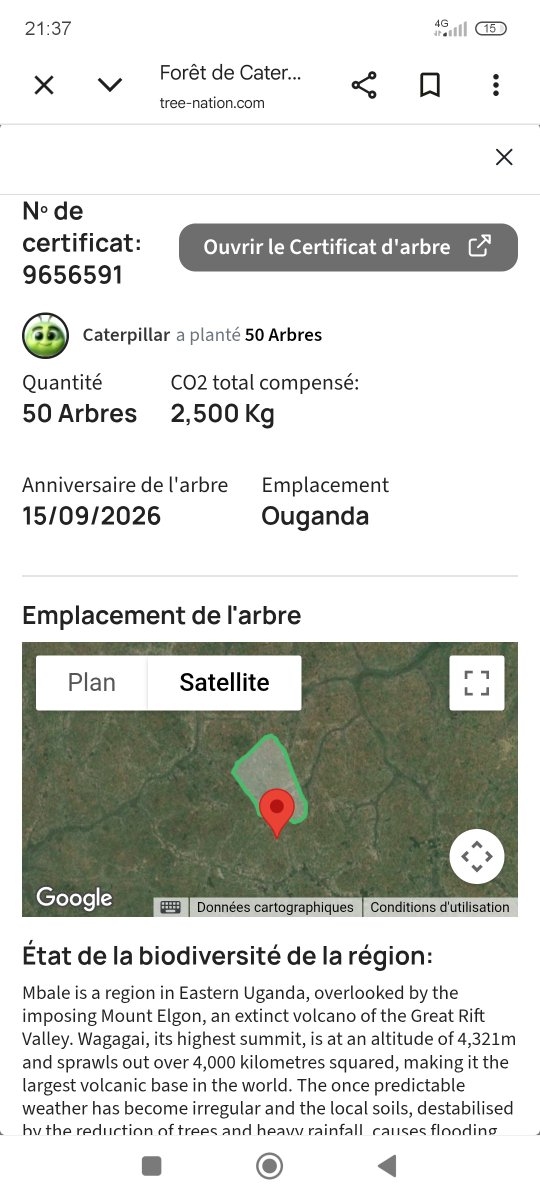 TONICASHWORLD's tweet photo. The @CPLTOKEN $CPL community has just planted 50 additional trees in Uganda 🇺🇬 in partnership with our friends at @treenation ! 💚
​Thanks to everyone's support, we have reached 1,315 trees planted so far — and this is just the beginning. 🎉
​Caterpillar CPL will keep working to protect our ecosystems and plant trees all around the globe. 🌍✨
​Proof of planting 👇
📍 https://t.co/w8s8XULjn9

#cpl #caterpillar #treenation #green #bsc