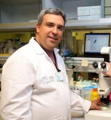 CeronLab's tweet photo. @gusaneros1 @IBV_CSIC @IISLaFe @monkeyplatillos @thermofisher @wormbuilder @KAUST_News @adelcarmenf @nstroustrup1 @CRGenomica @NeuroAlc @GWtweets @icvs_uminho @AMV_REDOX @ibis_sevilla @i3S_UPorto @CABD_UPO_CSIC @Claycomb_Lab @BianchiLab @Inserm_EN @CNRS @TheVilchezLab @CECAD_ @CE3CResearch @Olmedo_lab @unisevilla @artal_sanz @Biopolis_SL @Rabbs20 @NMSBlab @MfPez @IBMB_CSIC @uclnews @idibell_cat @i2sysbio @NNgroupICMAB @universidaddeva @SaludISCIII 🧑‍🎓Fadri Martínez Pérez @MRC_LMS 
🧑‍🎓 Juan Cabello @cibir_rioja 
👩‍🎓Laura Molina @LMolina_Garcia @CNB_CSIC 
🧑‍🎓Manolo Muñoz @CABD_UPO_CSIC https://t.co/kMraLBeu6N