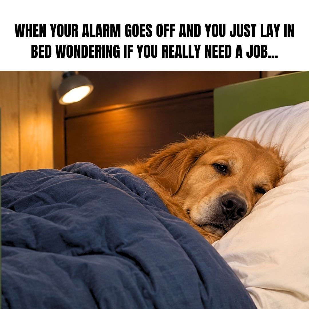 NicholasFls2nc's tweet photo. Relatable? https://t.co/ziaFk5mnpW