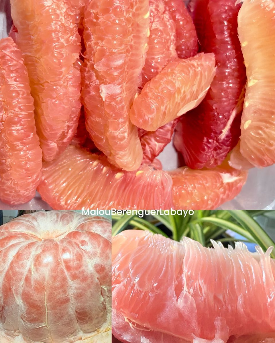 SherrylVerqa's tweet photo. Nothing beats pomelo—my absolute favorite fruit. https://t.co/k9WmwYle1V
