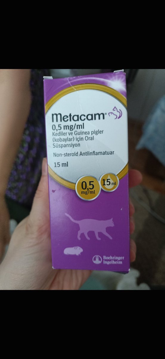 balliballl's tweet photo. Kanser kedisi için bu ilaçları arayan bir arkadaş vardı anasayfa yenilenince kaybettim.. paylaşarak yayabilir miyiz belki önüne çıkar, eğer isterse ilacı göndeririz 🙏🏻 lütfen yardım. https://t.co/YGX1SPbDX1