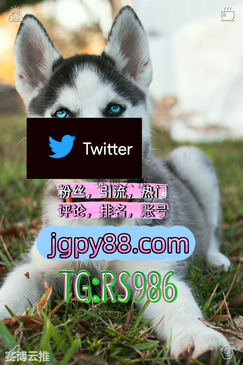 tachonskipper's tweet photo. 愿你心中有风景眼里无是非生活多美好🍗
推特账号购买推特软件 
矩阵互动🌞輔助工具🌂 软件获客、海外推广、流量增长 排名号
海外获客🌺互推助手🎌数字货币🍁 注册号
热门号 上热门 https://t.co/uQBqtHhXlB