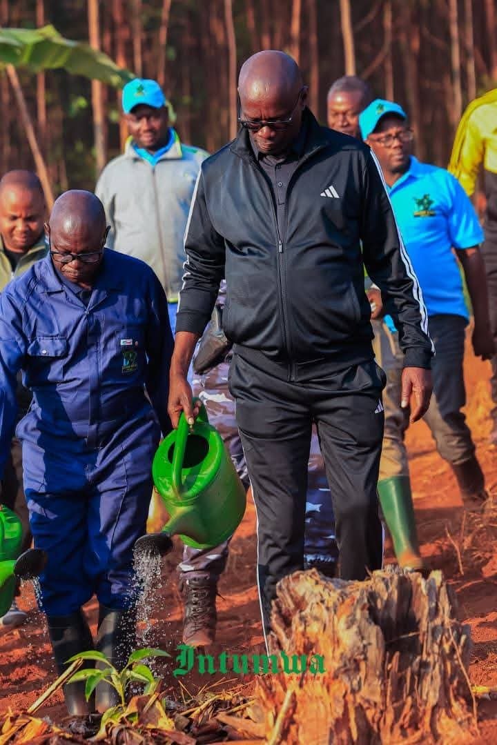 CnddFddButanyer's tweet photo. #Burundi 15/9/2026 Umunyamabanga Mukuru wa @CddFdd  @R_Ndikuriyo arikumwe n'umunyamabanga muntara ya #Butanyerera,bazindutse kare cane (4h50) bifatanya n'abagunyabanga bo mumazone 3 yo muri komine #Tangara na #Kiremba mubikorwa vyo kuvomera amavoka mwikigihe c'ici.
@GeneralNeva. https://t.co/zCi1yKBMzz