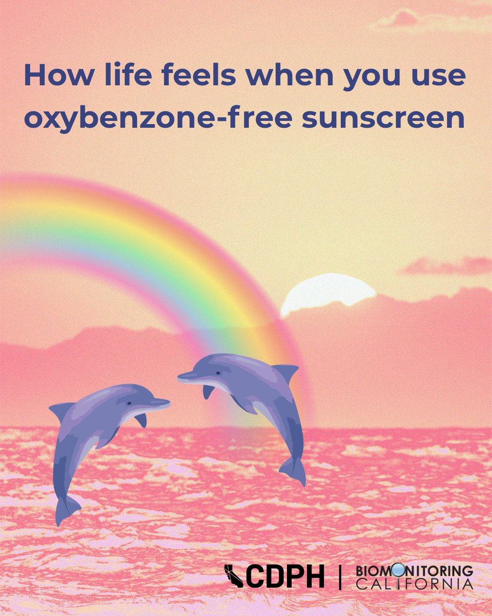 Illustrated scene showing two dolphins jumping above pink ocean water with a rainbow in the background. The sky is pastel pink with a few clouds. Text at the top reads, ‘How life feels when you use oxybenzone‑free sunscreen.’ CDPH and Biomonitoring California logos appear at the bottom.