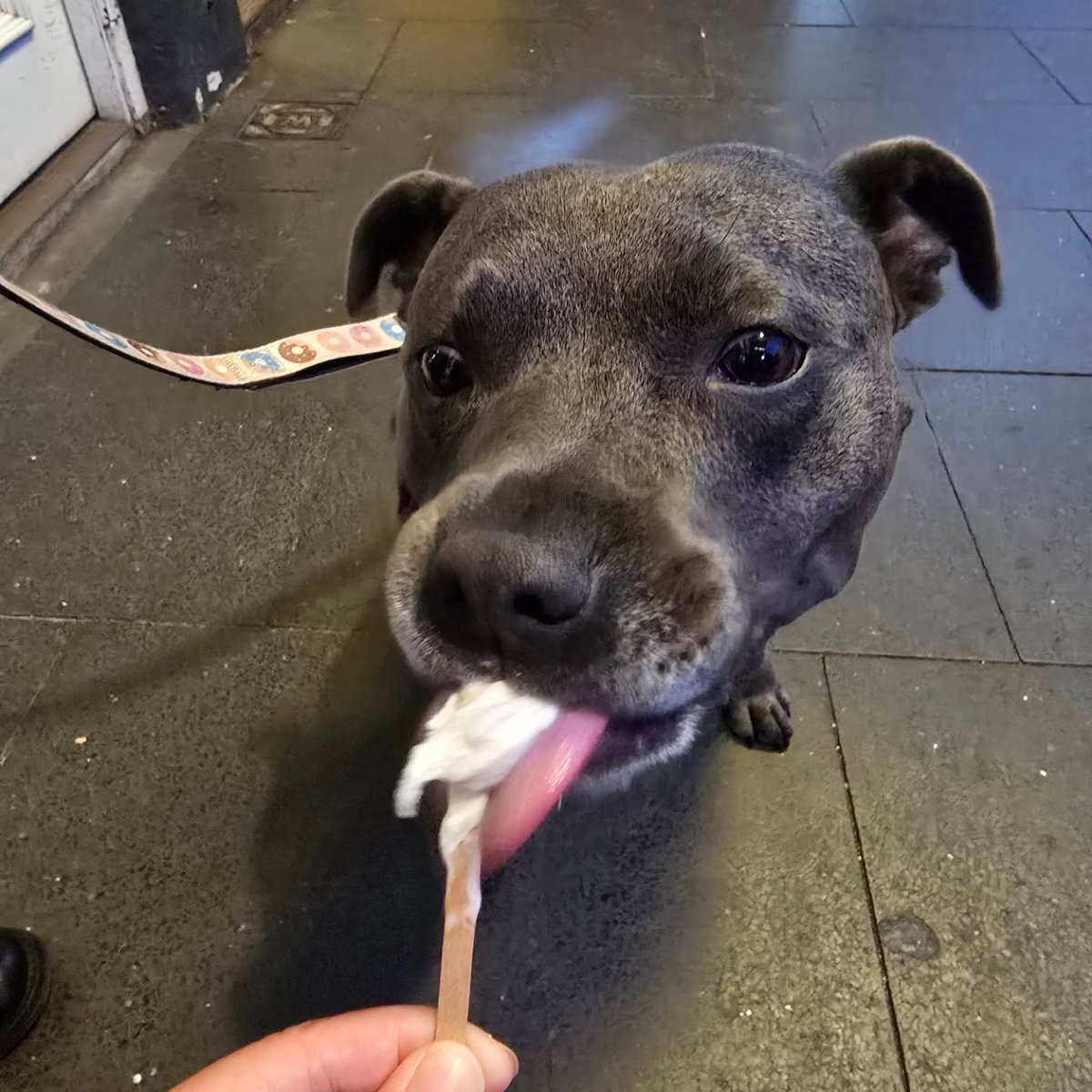 ErleneTrefbk's tweet photo. Give me some yummy ice cream! https://t.co/Tg3lhtARKu
