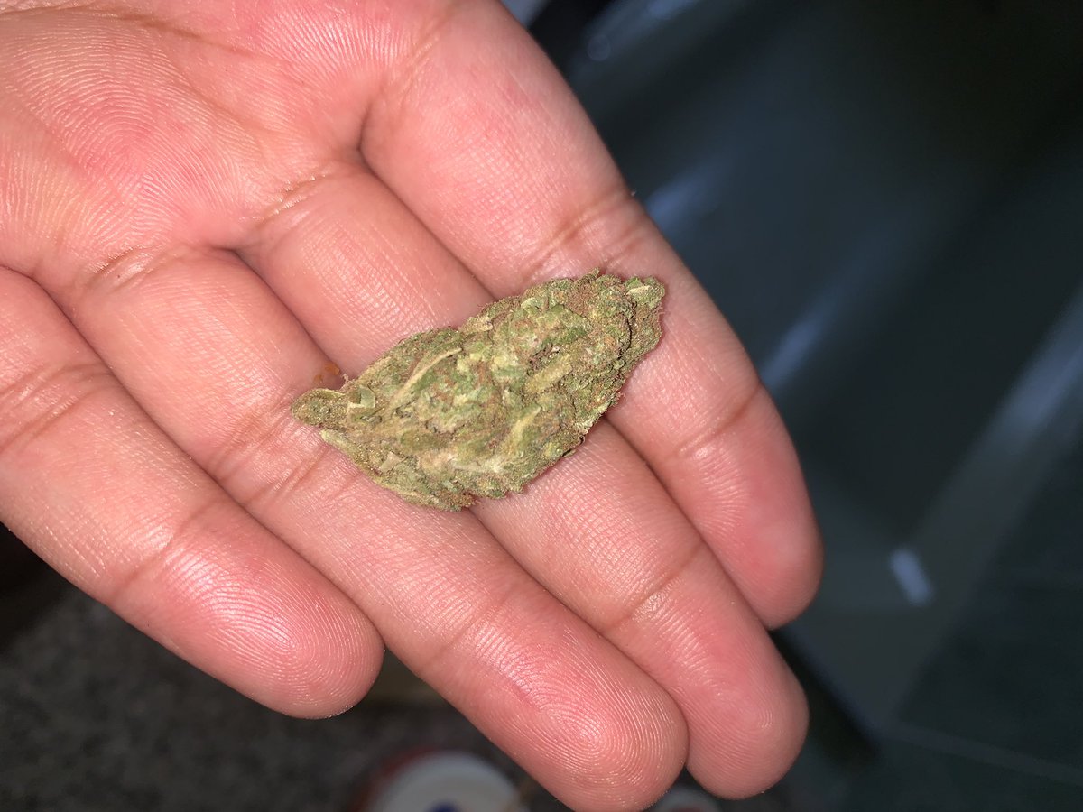 afroditeNSFW's tweet photo. whoooooweeeeeeeee😵‍💫🤤🫨i forget what this is lmao but WGFT???? isnt she purty😍love when i play russian roulette with my dank

wish someone could snuggle up with me :( or take advantage of me… depending on what mood this sets ;)

#stonerkink #weed #pretty #cnc #nsfw #highgrade https://t.co/xbjewUX67w