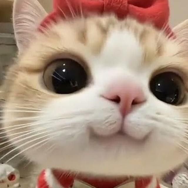 Kimu185's tweet photo. manda la ultima foto que tengas en la galería https://t.co/AXjvHosWcd