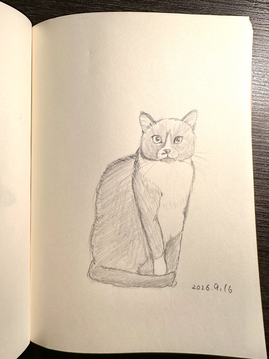 latteco_h's tweet photo. おはよ〜。
スレッズに投稿してる1日1猫
Xにも投稿していくことにしたよ〜

たまに眠くてサボるとこあるけど、できるだけ毎日描いてるよ

1日1猫448匹目

#猫イラスト https://t.co/nrecbEpKuz