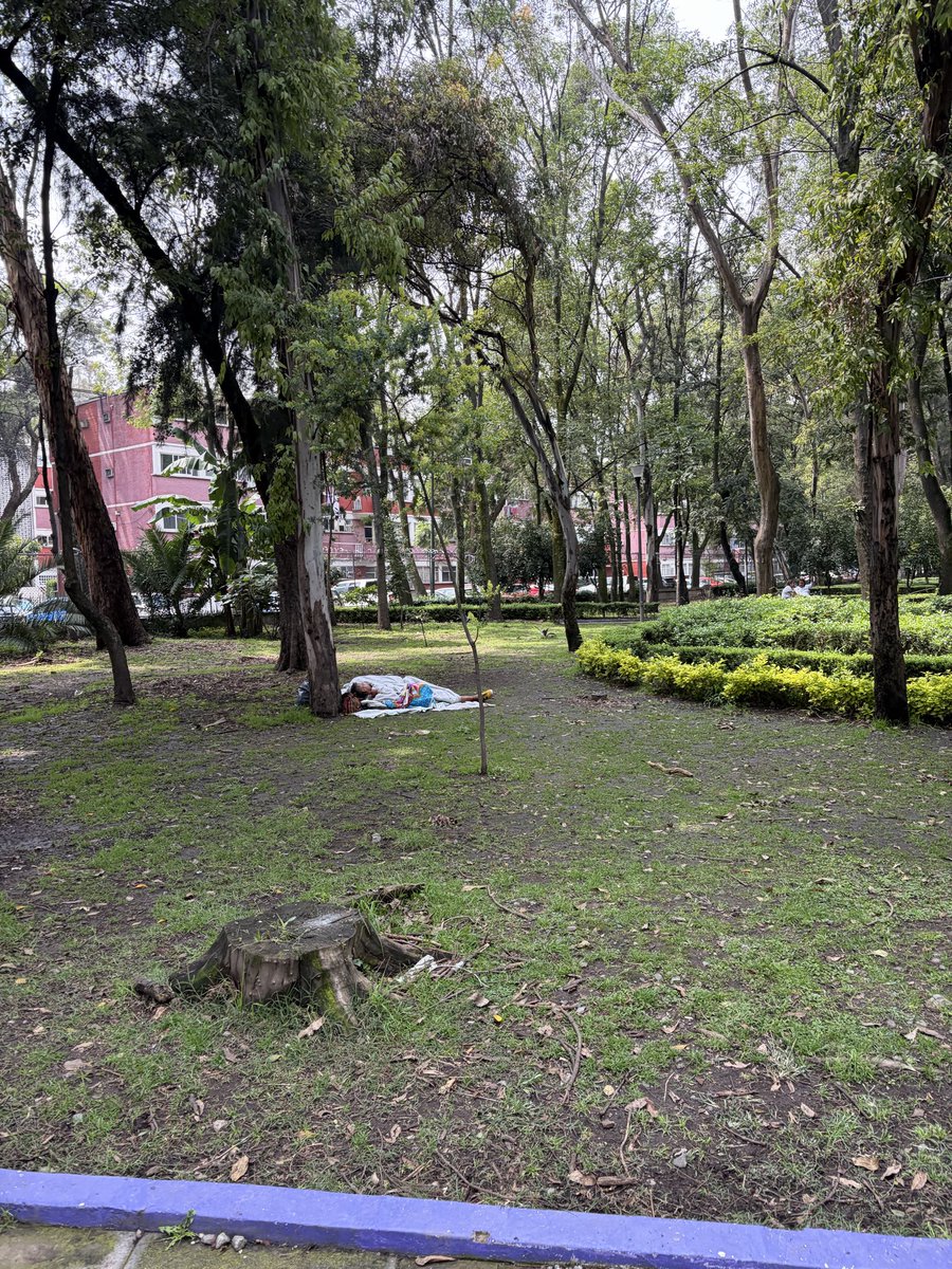 IsraelLujan's tweet photo. @AlessandraRdlv el jardín Ramón López Velarde se está saliendo de control.  Hay personas inyectándose, viviendo y hasta vista panorámica tienen.  Es un jardín con mucha actividad, pero no se vale que donde hay niños y mascotas, haya gente inyectándose. ¡Ayuda! https://t.co/tTvA6enK3v