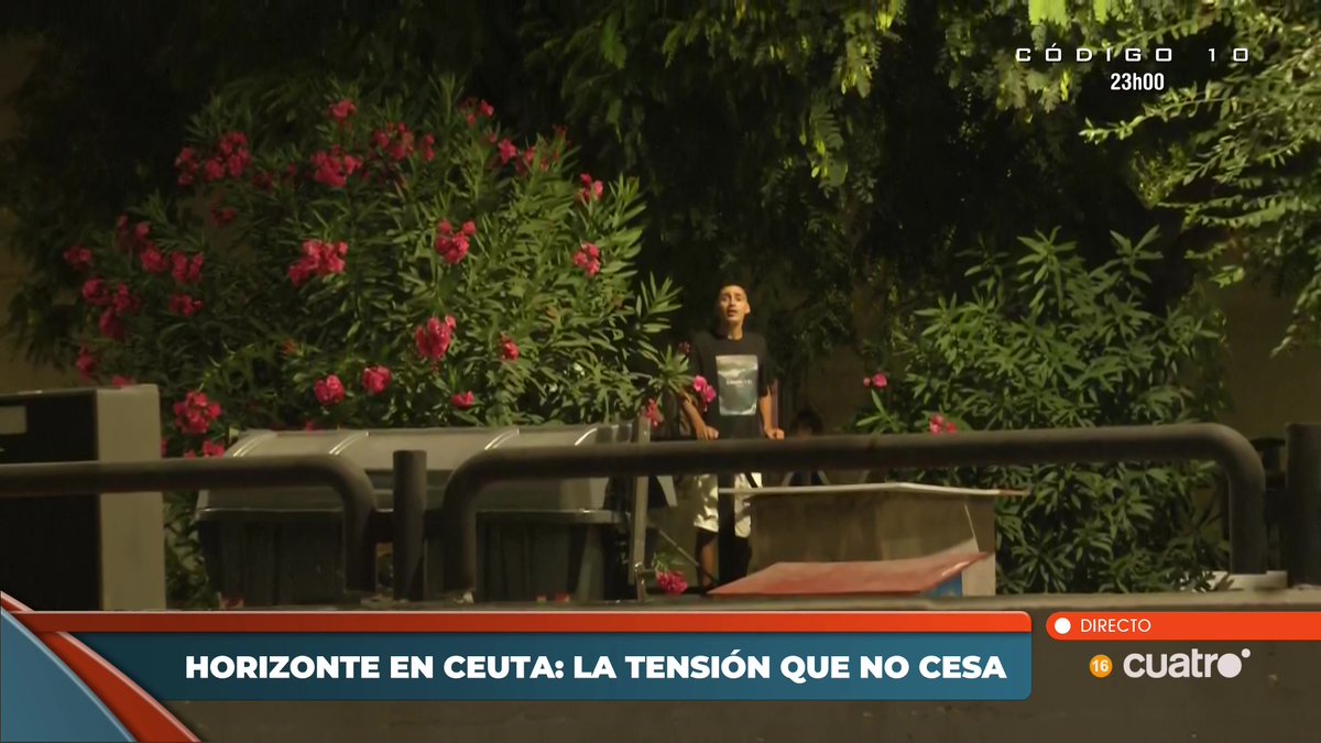 navedelmisterio tweet picture