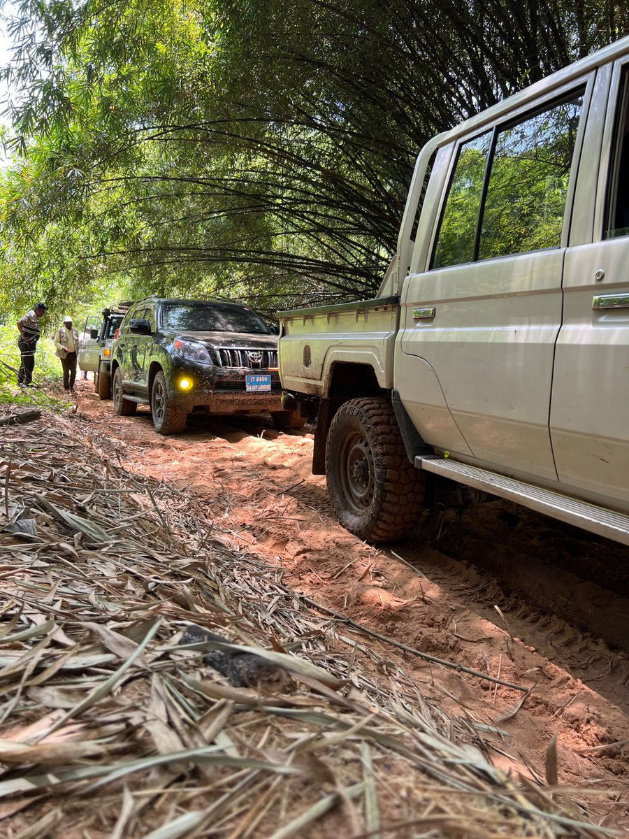 IsralMutombo11's tweet photo. TSHOPO-OPALA : MUHINDO NZANGI brave les obstacles de la RN7 

La route s’arrête, mais pas la mission. Pour atteindre Yatolema, village enclavé du territoire d’Opala, dans la province de la Tshopo, le ministre d’État, ministre de l’Agriculture et de la Sécurité alimentaire, Muhindo NZANGI a dû abandonner son véhicule pour poursuivre l’itinéraire à moto.  

Pour ce membre du Gouvernement, il ne suffit donc pas de parler de l’agriculture depuis les centres urbains. Il faut aussi se rendre sur le terrain, constater les difficultés et écouter les producteurs.

Cette démarche rejoint la vision du Chef de l’État, Félix Tshisekedi, axée notamment sur la transformation du potentiel agricole de la République démocratique du Congo et la concrétisation de la « revanche du sol sur le sous-sol ».