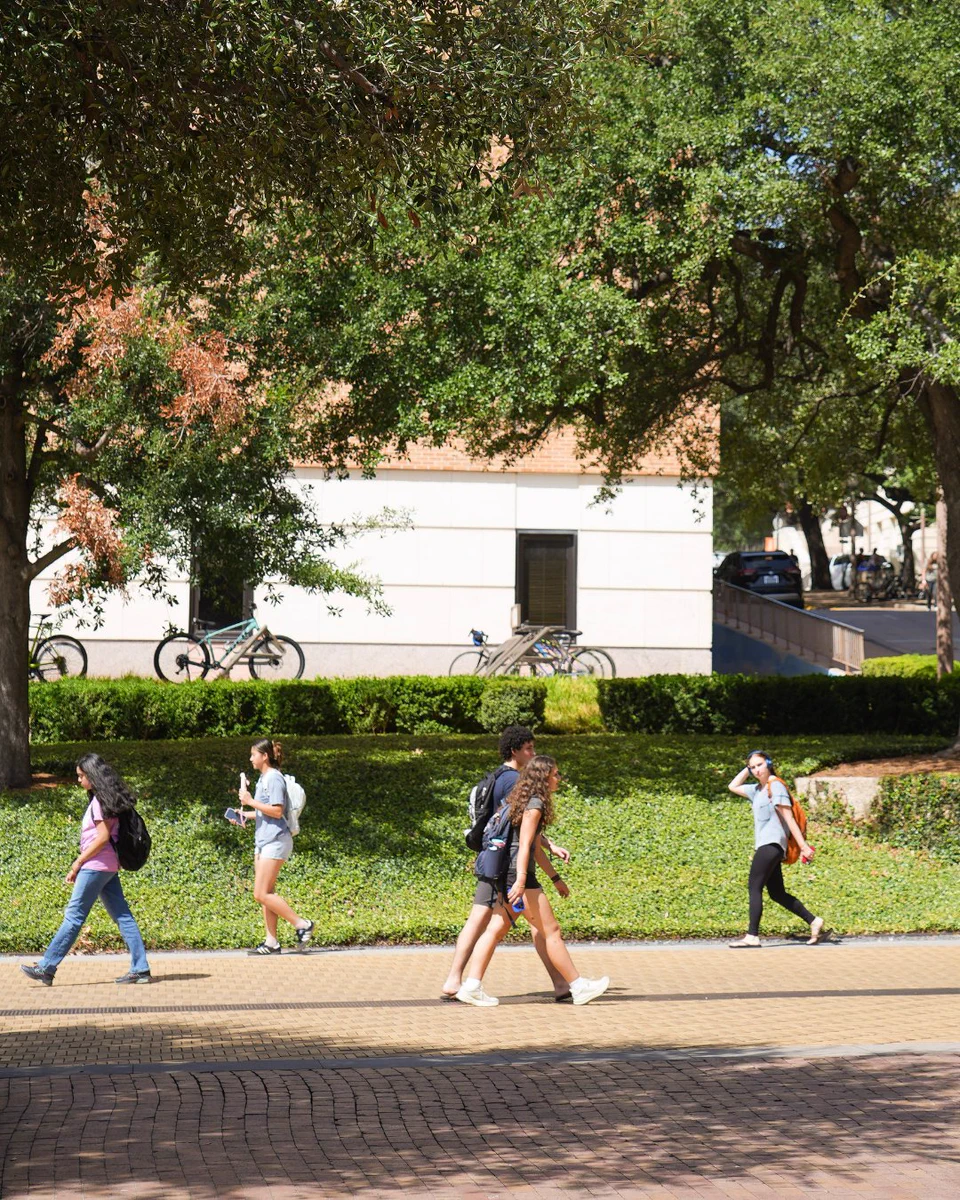 Several diverse students walk on a paved campus path. Some carry backpacks, others look at phones. Lush green trees, bushes, and a white building with parked bicycles form the background under bright sunshine.