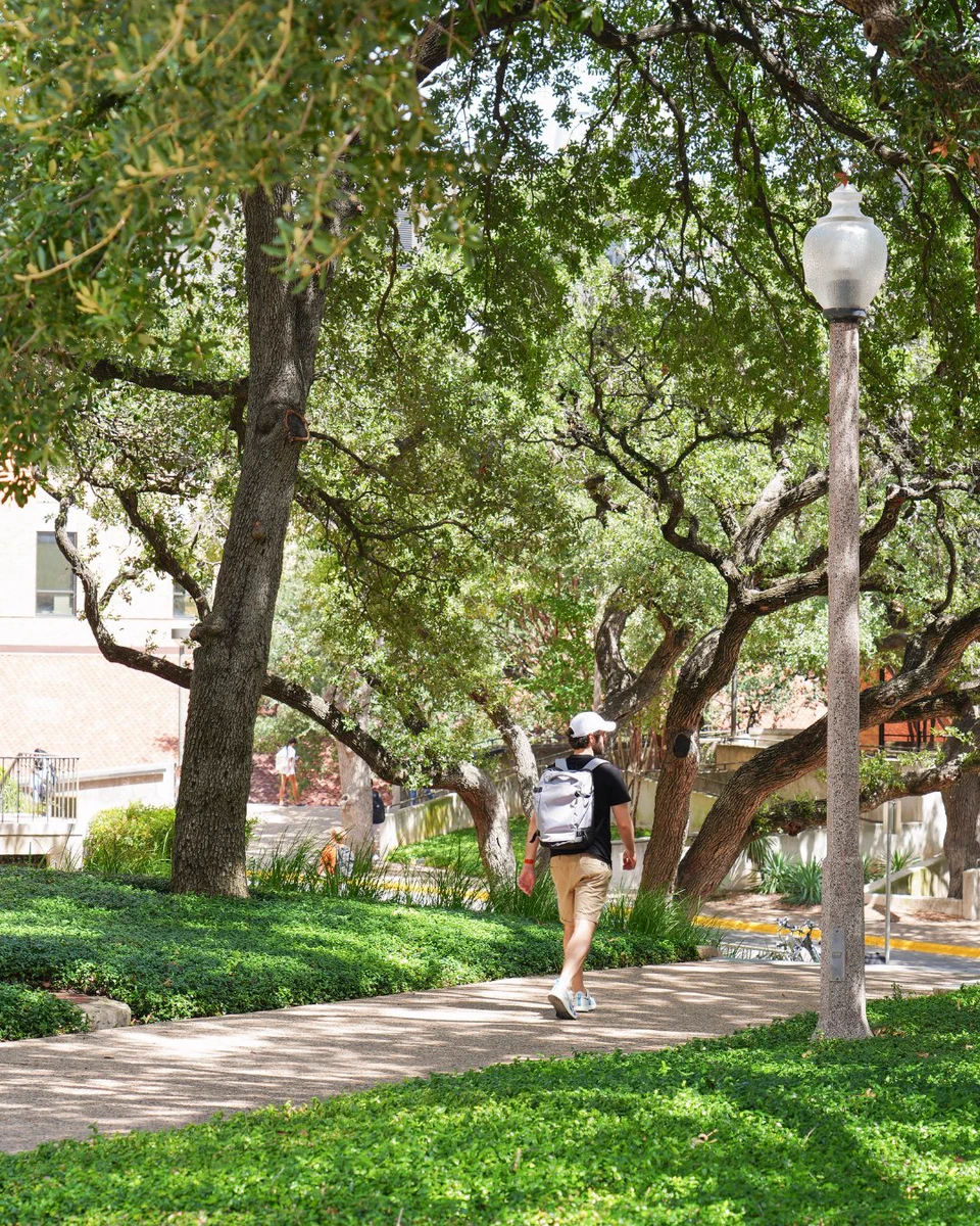 A person in a white cap, black shirt, khaki shorts, and gray backpack walks away on a sun-dappled path lined with large trees and green ground cover. A lamppost stands on the right. Other people and a small orange dog are visible in the distance.