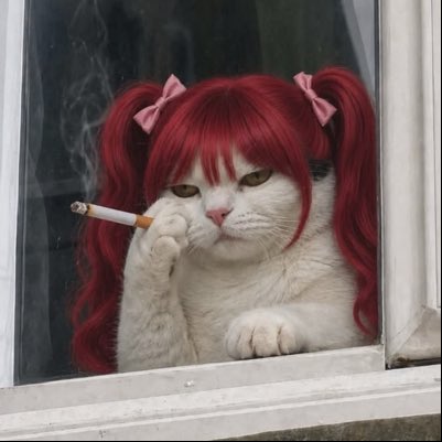 _Nrc9's tweet photo. #NewProfilePic https://t.co/q2EgjAEiVh