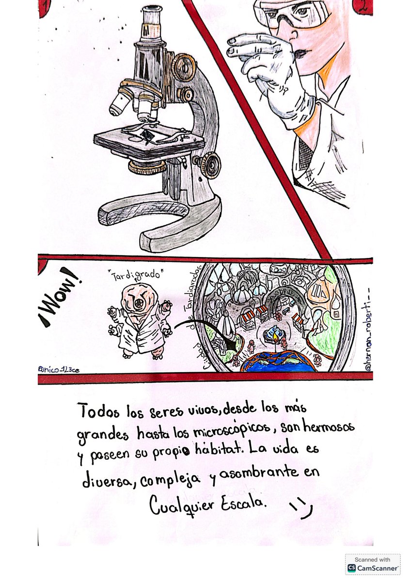 mist_py's tweet photo. Artista: Hernán Riveros - Colegio Nacional Gaspar Rodriguez de Francia
Título: ¡ Wow ! @conacytparaguay @IntMicroDay https://t.co/uiKd5sarQQ