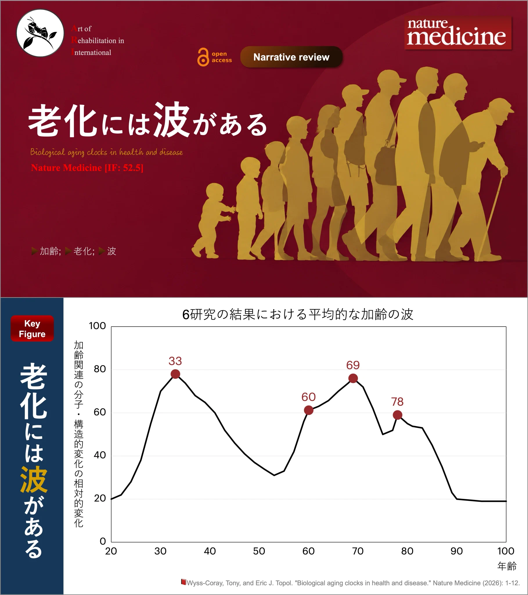 理学療法士_海津陽一 Ph.D. on X: 