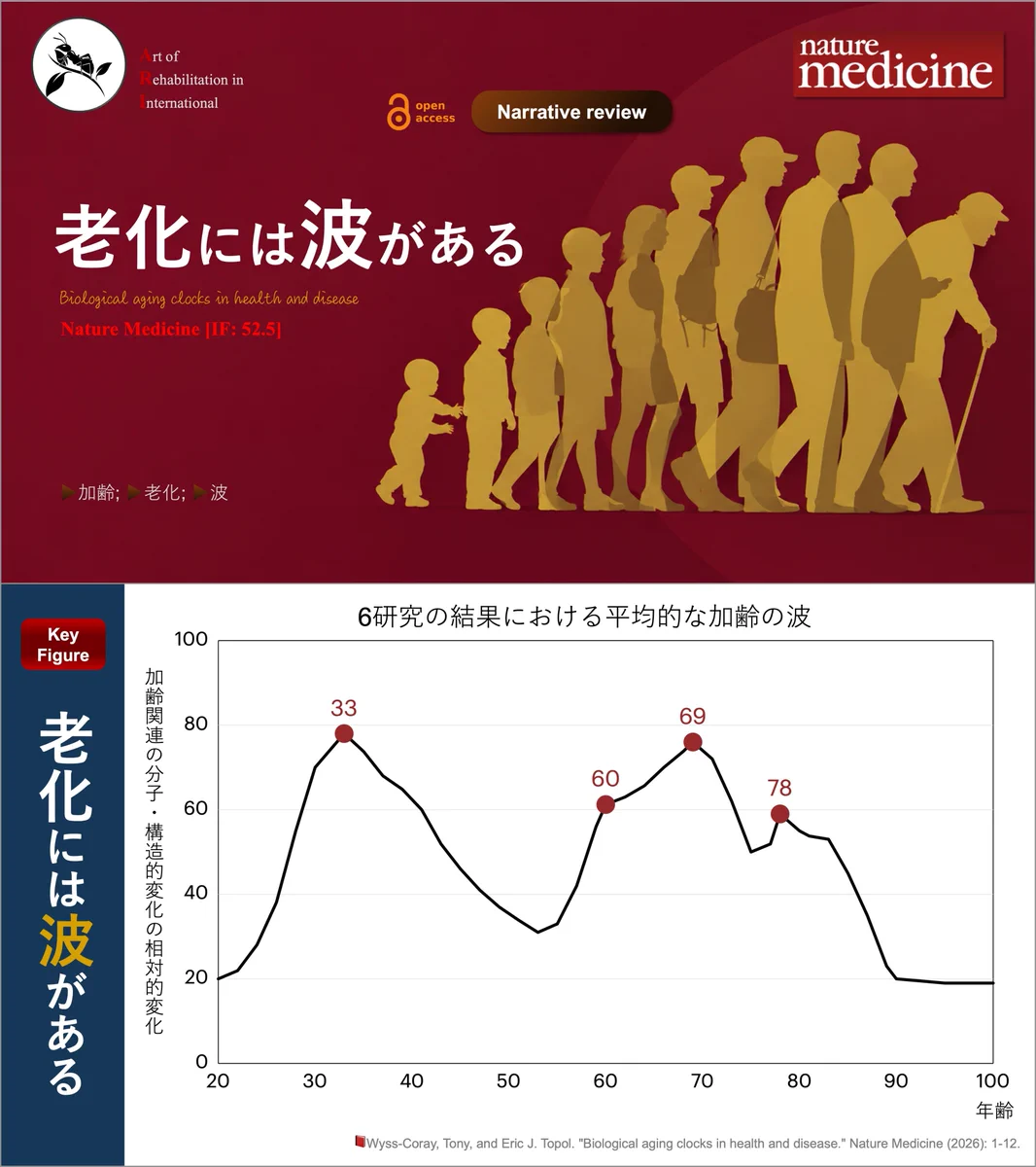 理学療法士_海津陽一 Ph.D. on X: 