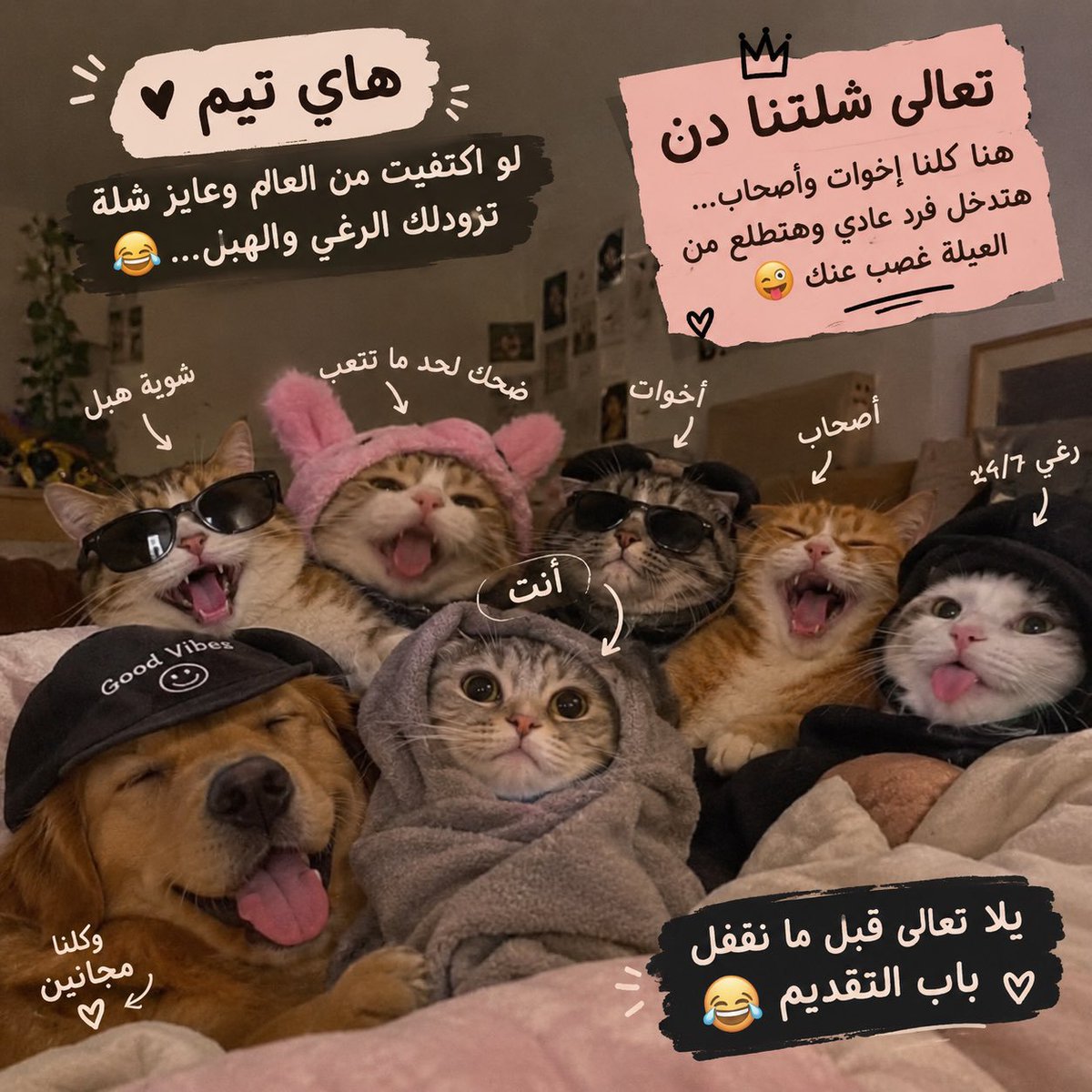 Nourhan_g7's tweet photo. مش هقولك تعالى التيم…

هقولك مستني إيه؟ 😂

رغي + هزار + شلة رايقة  يلا دن

👈او ابعت دي ام 👉 https://t.co/QxlFMd0jF8