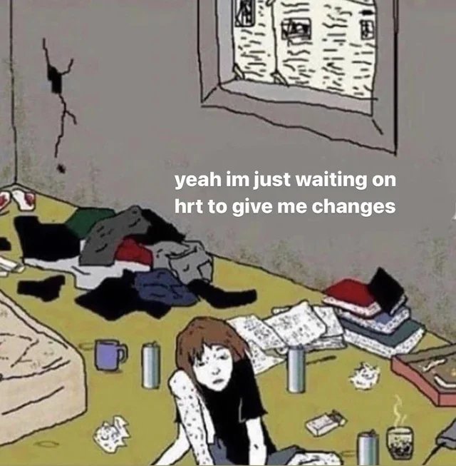selenesynthesis's tweet photo. now that im semi-out the pressure to speedrun transition is real even though i know its a bad idea https://t.co/yMqEbJmDx6