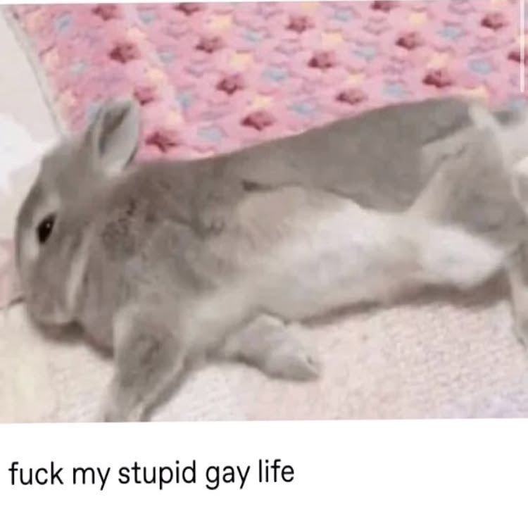 luv4miwako's tweet photo. how it feels acting bitchy to someone because you’re genuinely malnourished but you can’t say that so you blame it on your non-existant period https://t.co/0HxC9DsgBk