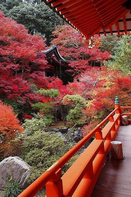 NovaCadexmod's tweet photo. 朝5時、起きちゃった。何度寝かけても頭は冴えちゃって、眠れない。ひとりの時間ってこんな感じで、暗くて静かで、外はまだ眠ってる。 https://t.co/Ab3YFow5P9