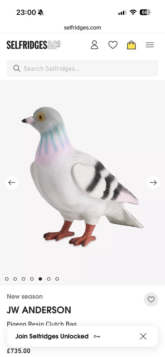 Soooooo1204's tweet photo. 誰が15万円するリアル鳩バッグを買ってみて欲しい https://t.co/faEd0Mw5tz