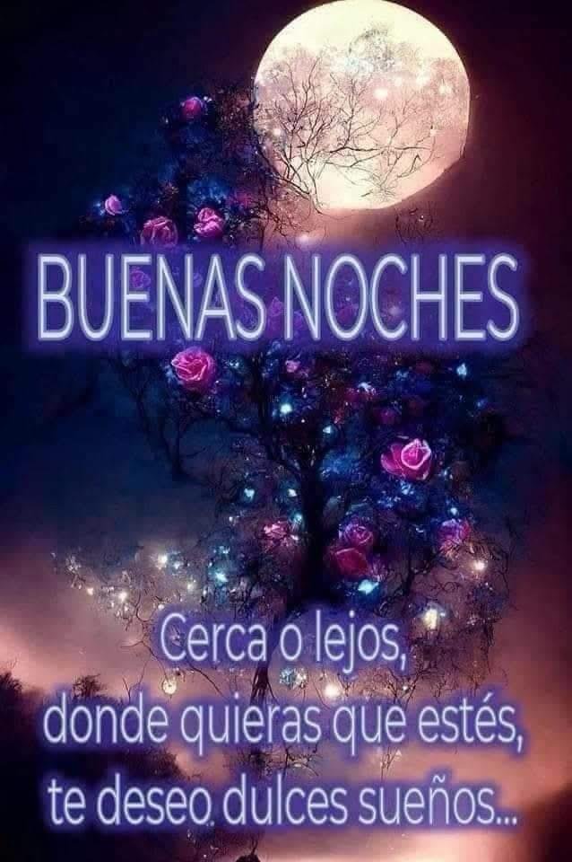 maigogonzalez's tweet photo. @RAPHAELartista Buenas noches Raphael Feliz sigue  Septiembre #RAPHAELISIMO En la Flor de  tus Rosas 🌹 Buen descanso  Te esperamos y QUEREMOS INFINITO ♥️ #SiempreRaphael  #AQUEL ♥️ https://t.co/PIhaTatPib