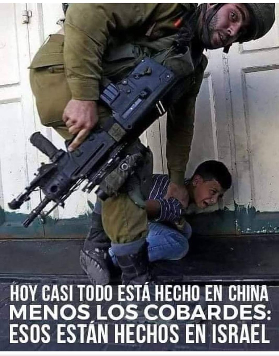 Aracatym's tweet photo. @folha Não é verdade. A verdade é que muitas pessoas neste país consideram uma covardia e um genocídio infantil por parte do ESTADO DE ISRAEL. Se este veículo não tem alguém com capacidade cognitiva pra entender, problema de vocês...
#StopGazaGenocideNOW https://t.co/UEHphOLSGm
