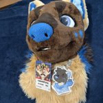 Photo by HawkPool (@FloofyHawk)