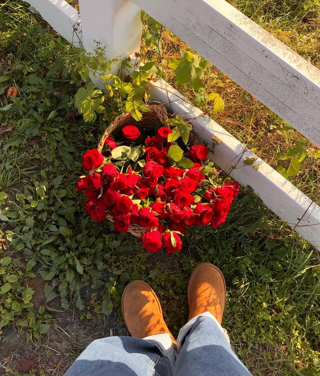 brunoabreu16's tweet photo. Hey there! 🌞 Just wanted to say, your journey matters—keep walking, keep growing. 🌼
lThdd https://t.co/gwN4vymC63