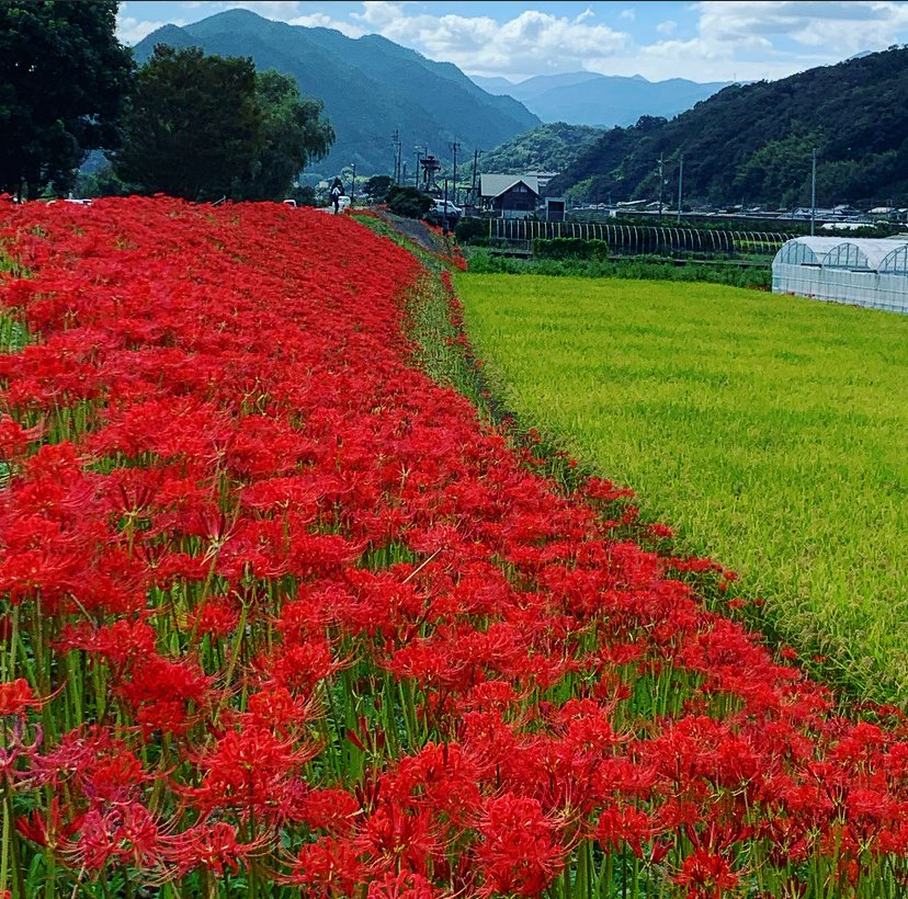 MorningcallC's tweet photo. おはようございます https://t.co/DKKR2P8jH1