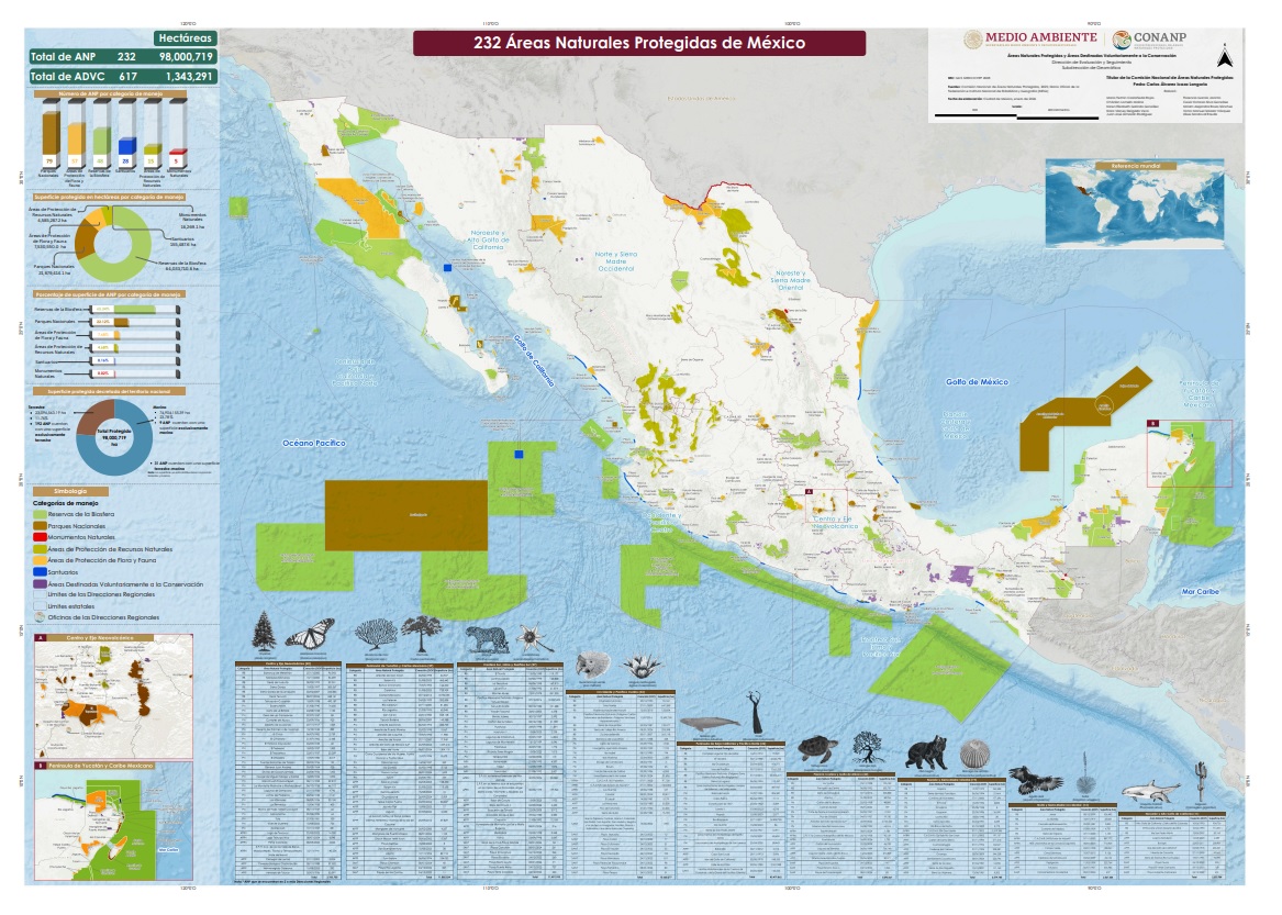 CONANP_mx's tweet photo. ¿Quieres conocer las 232 #ÁreasNaturalesProtegidas federales de México? 🍃🇲🇽

Descubre cuáles son y su ubicación en nuestro nuevo mapa, que puedes descargar en alta resolución aquí. 🗺️

➡️ https://t.co/AGhcqSpuuY #SomosNaturaleza 🐊🪼🪱🍄🦎🦋🐦🐍🐆🐢🐾🏜️🌺🏔️ https://t.co/AeZ6XK4AAY