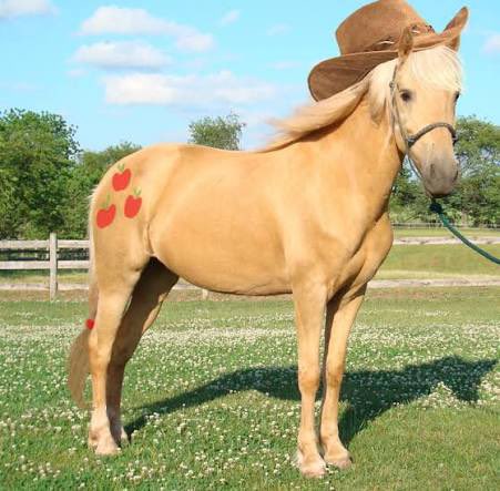 AppleJack0140 tweet picture