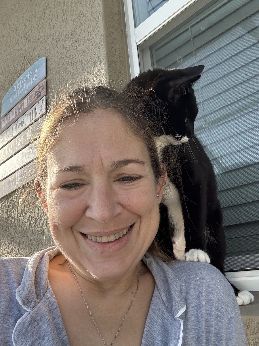 mariaecapo's tweet photo. @Andy585839 Hahaha. The floof, is actually the fattest one. 

No, they each are clingy in their own way as well. Orange is more clingier at night, and floof usually cuddles up every night, and river (tuxie) she’ll just attach on to my shoulder when she wants lovin. https://t.co/BL1ug0fAcx