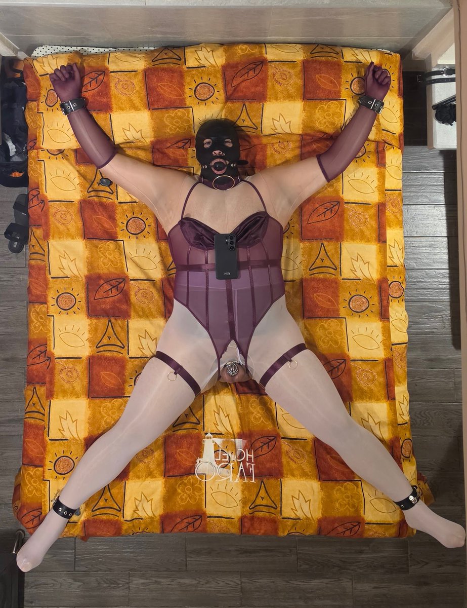 Alf100793's tweet photo. 10.- Sissy Gimp en busqueda de Am@, en CDMX, regularmente Hotel Faro la raza. Medias y bdsm. https://t.co/cBOKFAWiKc