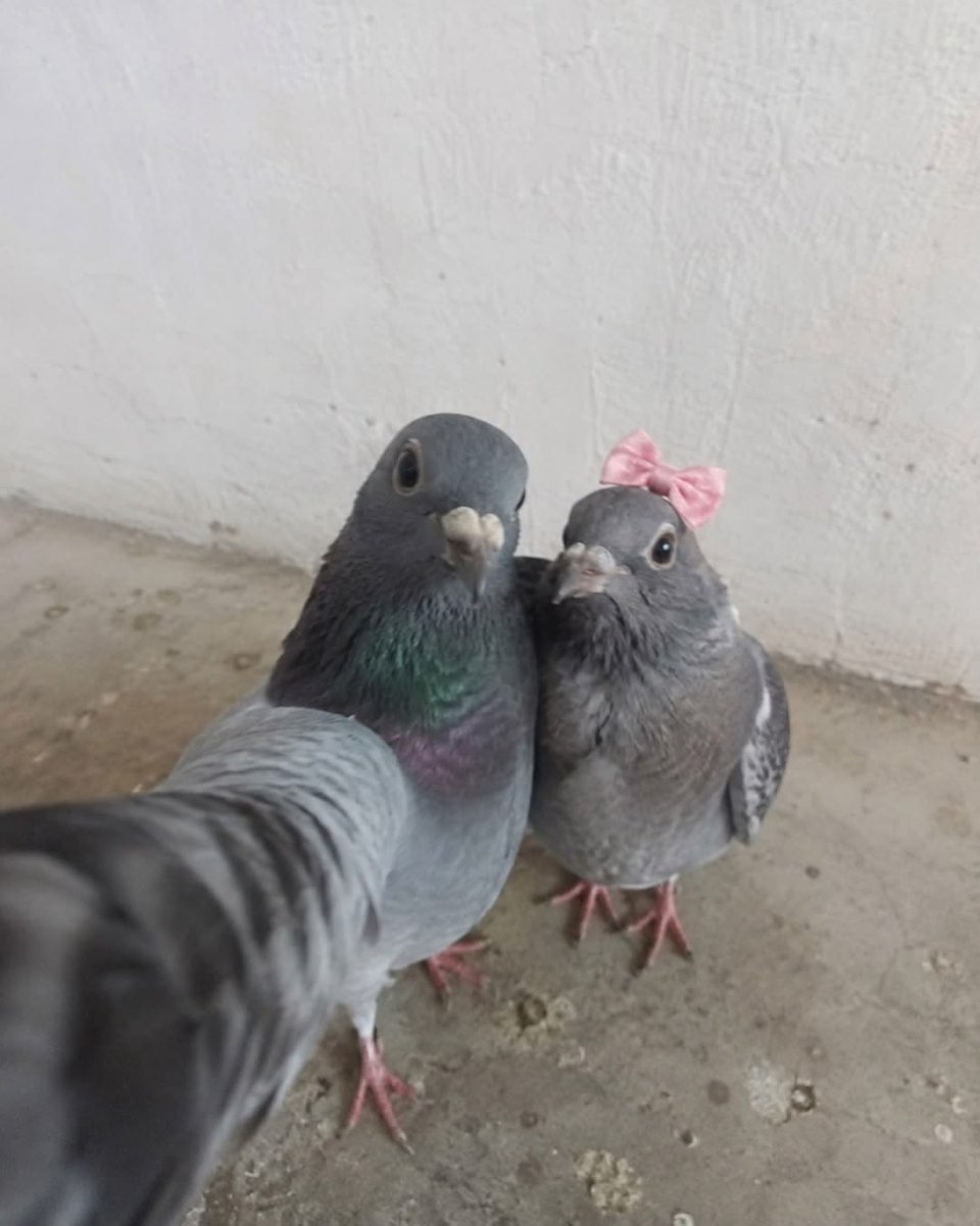 tagyourwho's tweet photo. this could be us https://t.co/XRm2rLfM8w