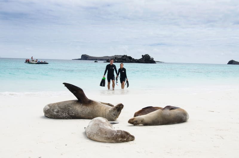 MilakNancy's tweet photo. The Galápagos Islands are unlike anywhere else on Earth -and you can explore them with Celebrity Cruises in comfort and style.
This is a once-in-a-lifetime trip!
➡️ Message me and I’ll help you plan your Galápagos expedition. https://t.co/R9F5xEx0oW