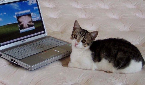OldInternetFeel's tweet photo. 2008 https://t.co/weA76Zga0i