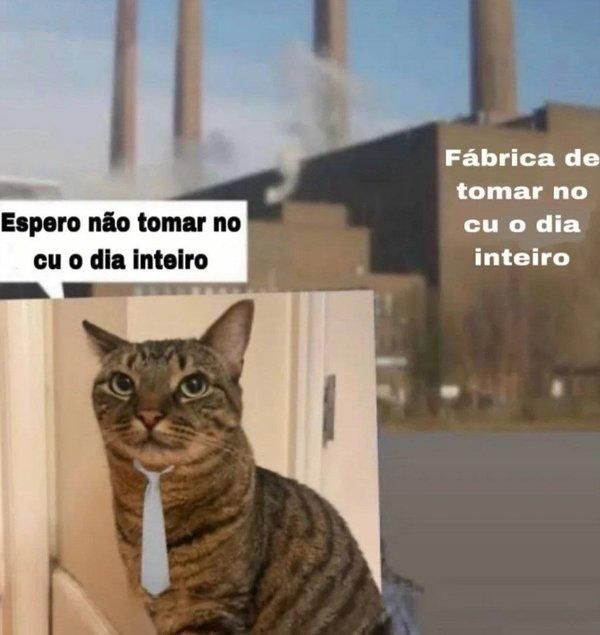 memes_horriveis's tweet photo. https://t.co/NpW0TYYJgb