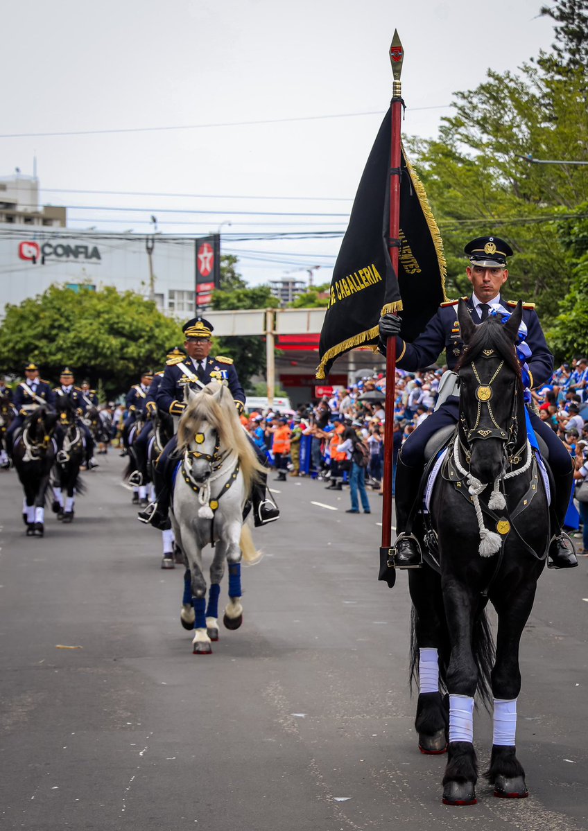FUERZARMADASV's tweet photo. 🐎🇸🇻 Nuestra Caballería engalanó el Desfile de Independencia 2026 con elegancia, tradición y orgullo patrio. 🎖️✨ https://t.co/2xJ8FZxmQX
