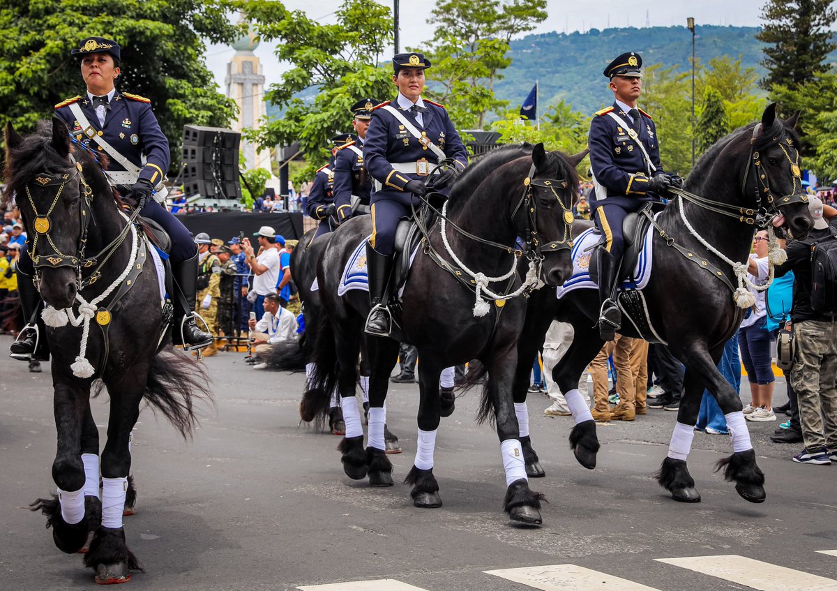 FUERZARMADASV's tweet photo. 🐎🇸🇻 Nuestra Caballería engalanó el Desfile de Independencia 2026 con elegancia, tradición y orgullo patrio. 🎖️✨ https://t.co/2xJ8FZxmQX