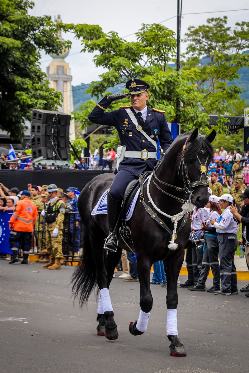 FUERZARMADASV's tweet photo. 🐎🇸🇻 Nuestra Caballería engalanó el Desfile de Independencia 2026 con elegancia, tradición y orgullo patrio. 🎖️✨ https://t.co/2xJ8FZxmQX