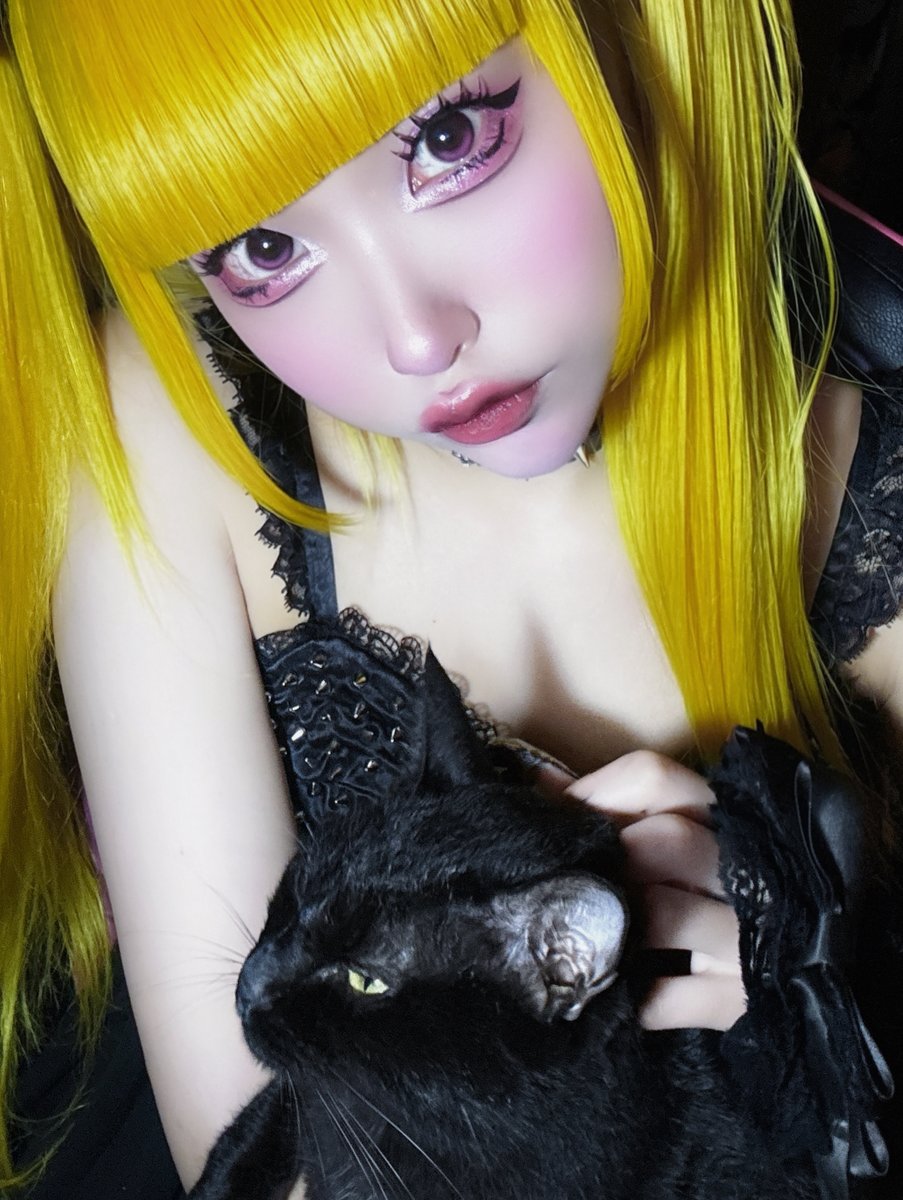 pet_tsuzume's tweet photo. ＼おはニャウ／ https://t.co/dW3BI56Uhg