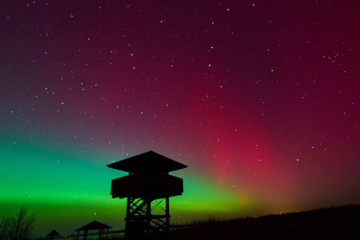 VerleneRasae1's tweet photo. Northern Lights tonight near Bugewitz https://t.co/MfK94DB0WB