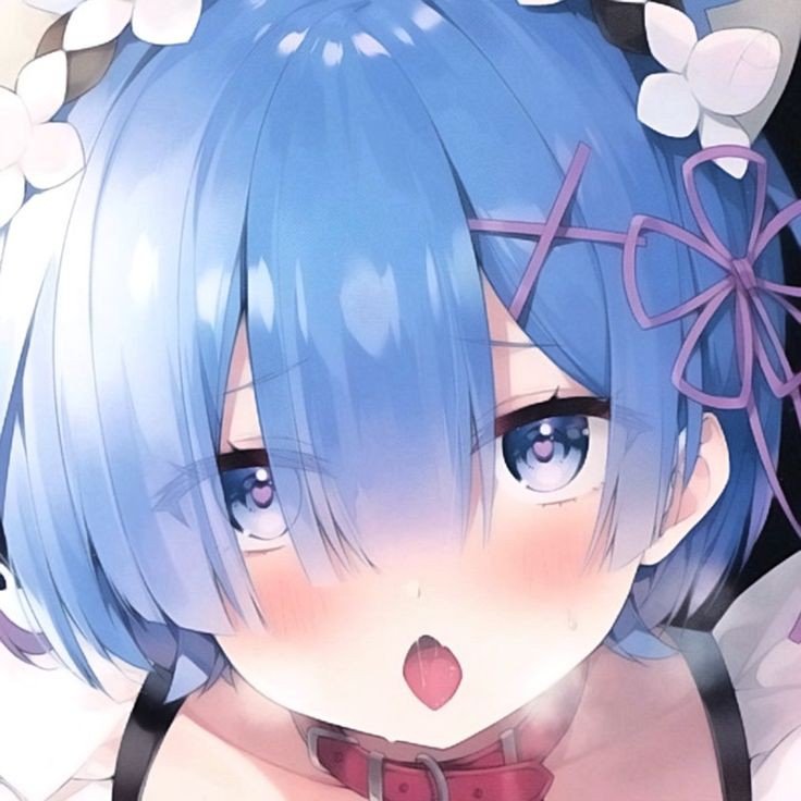kissesvc's tweet photo. ⠀ ⠀ ⠀ ⠀ ֶָ֢ 🫧 ⊹ ⠀Los mimitos que le gustan a la Neko-maid. 💕😽

⠀ ⠀ ↻ • ♡ • 💬 https://t.co/RevknNVB9l