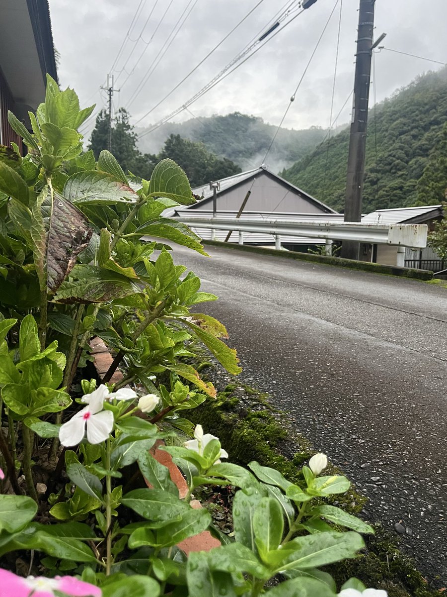 radio1132512's tweet photo. ユージさん、明世さん、スタッフさん
そして全国のワンモリスナーのみなさんおはようございます。

今日も良い一日になりますように😊
#ワンモ https://t.co/LDabjOnexb