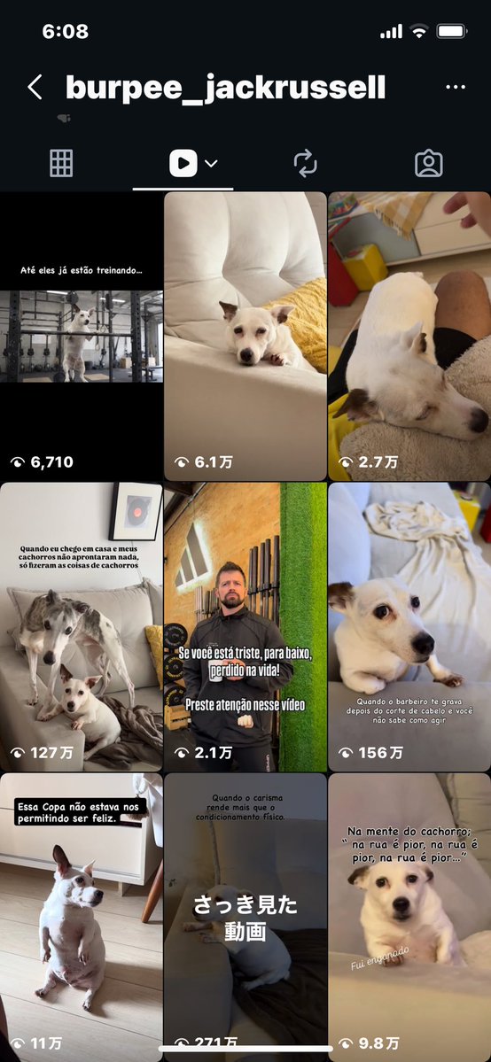 pompom_810's tweet photo. この犬好きすぎて
インスタ特定できてアツい https://t.co/a6Nr25xkRC